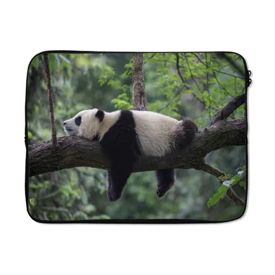 Produktbild von MuchoWow® Laptop Hülle 15 Zoll Panda - Baum - Tiere - Natur Laptoptasche - Laptoptasche - Sleeve - Rundum-Schutz