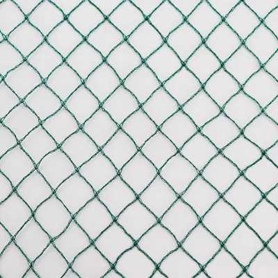 A close-up, full-frame shot of a green net with diamond-shaped openings, against a white background.