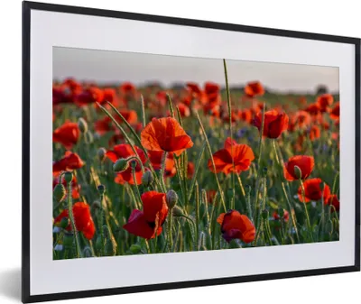 Produktbild von MuchoWow® Gerahmtes Poster Blumen - Mohnblumen - Natur - Rot 60x40 cm - Poster mit Schwarzem Bilderrahmen Wandposter Rahmen Foto Bilder - Schlafzimmer - Plakat in Rahmen - Drucken