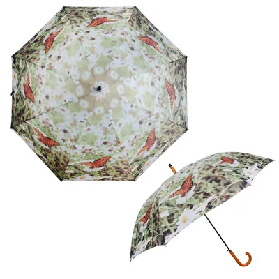 Produktbild von Regenschirm - Stockschirm - Schmetterlinge Blumenwiese Naturmotive
