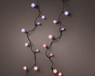 Image de Guirlande Led Multicolore Extérieure éclairage Festif Et Durable Pour Extérieur - Lumineo