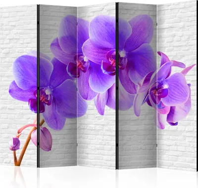 Produktbild von Akusticher Raumteiler Orchidee Foto Paravent 225x172 cm beidseitig auf Vlies-Leinwand bedruckt Akustikschaum Trennwand Spanische Wand Sichtschutz Home Office Blumen Natur Botanik b-A-0342-z-c