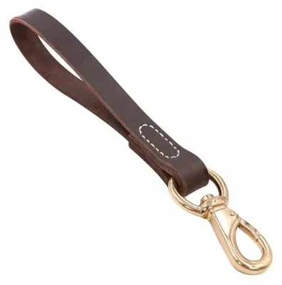 Image de Laisse en cuir marron, largeur 2 cm, longueur 30 cm, pour chien