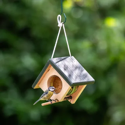 Produktbild von CJ Wildlife Erdnussbutterhaus - Vogelhaus zum Aufhängen - Holz ( 100%) - Braun/Grün - Für kleine Vögel, gewichtete Sitzstange, Holzleiste