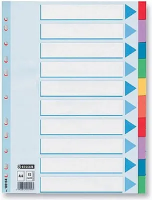 Image de Esselte Maxi 10 feuilles