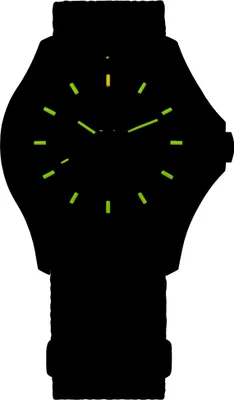 Image de Traser H3 - 111068 - Montre - Hommes - Quartz - P67 Officer Pro