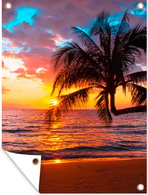 Produktbild von MuchoWow® 60x80 cm Outdoor-Poster Gartendeko Sichtschutz Garten Poster für den Garten  Palme - Sonnenuntergang - Strand - Meer - Horizont