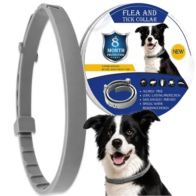 Produktbild von Zeckenhalsband für Hunde 63 cm, Flohhalsband wasserfest, verstellbar, Schutz bis zu 8 Monate für mittelgroße und große Hunde