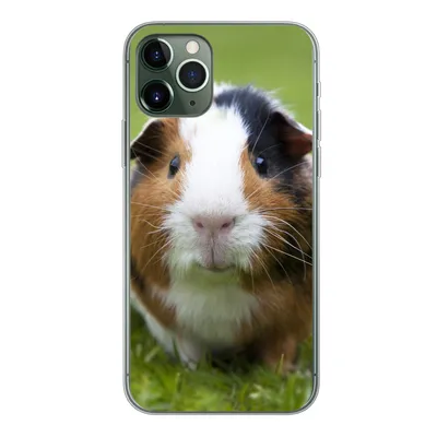 Produktbild von MuchoWow® Handyhülle Schutzhülle Hülle für iPhone 11 Pro Zwei Meerschweinchen Silikon Softcase Handy Hülle - Handy