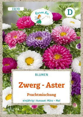 Produktbild von Grüne Fee - Zwerg-Aster Prachtmischung Samen - 13170