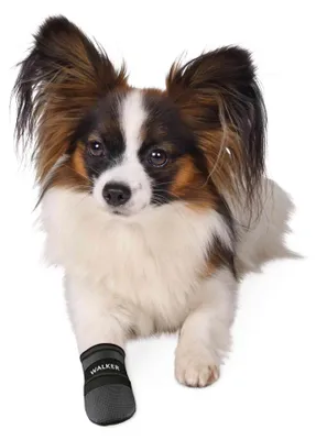 Produktbild von TRIXIE Pfotenschutz Walker Care, S, schwarz