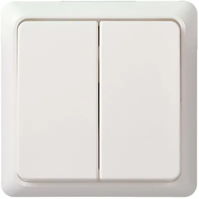 Immagine prodotto di Interruttore serie Elso rw 511504