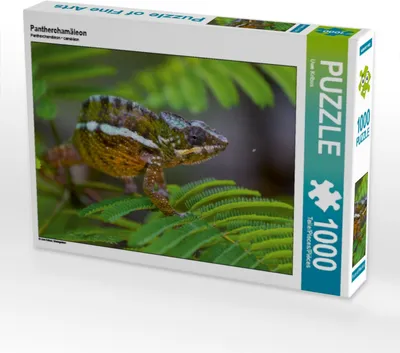 Produktbild von Calvendo Pantherchamäleon 1000 Teile Puzzle quer 640x480mm, Kribus Uwe; 7458187