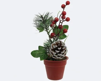 Produktbild von Weihnachtsgesteck im Blumentopf XL, 20x12cm , mit Beeren,