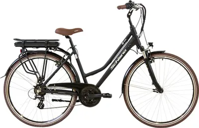 A black electric bicycle with brown accents is shown against a white background.