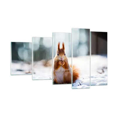 Produktbild von Bilder auf glas - Eichhörnchen Winter Schnee Essen - 100x60cm - Glasbilder - Wandbilder - Kunstdruck - zum Aufhängen bereit - Wanddekoration aus Glas - Glas Bilder - Wandbild auf Glas - GEG100x60-2798
