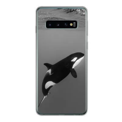 Produktbild von MuchoWow® Handyhülle Schutzhülle Hülle für Samsung Galaxy S10 Orca - Wasser - Tiere Silikon Softcase Handy Hülle - Handytasche
