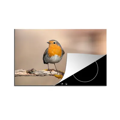 Produktbild von KitchenYeah© Herdabdeckplatte Rotkehlchen - Vogel - Zweig - Tiere , 81x52cm, Küche Deko, Glaskeramikkochfeld Herdabdeckung, Abdeckplatte fùr Kochfeld