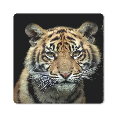 Produktbild von MuchoWow® Mauspad Mousepad Tiger - Schwarz - Jungtier 20x20 cm - Mousepads - Maus Mat - Pad - Mausunterlage - Desk Mat - Bureauartikeln