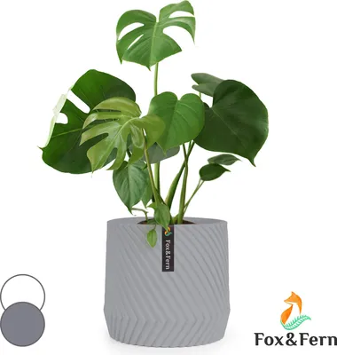 Image de Fox & Fern Pot de Fleur Interieur et Extérieur, Jardinieres Exterieur, Pot Plante Résistant UV et Gel avec Bouchon de Drainage, Polystone, Jardiniere, Pot de Fleur Exterieur Grande Taille, Pot Unique