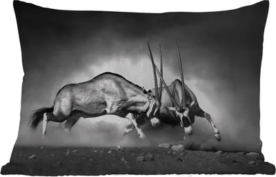 Produktbild von MuchoWow® Outdoor Kissen - Antilope - Schwarz und weiß - Porträt - Wildtiere - Tiere - 60x40 cm - Wetterfest - Lounge Kissen - Zierkissen - Kissen für Innenräume