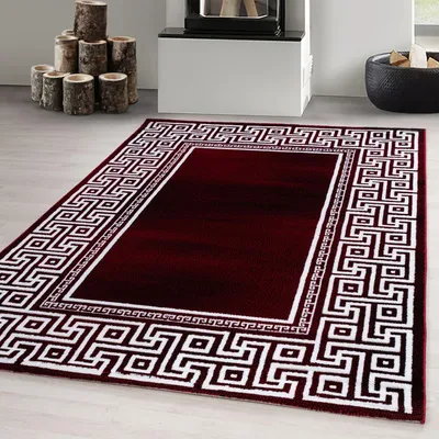 Produktbild von Carpetsale24 Teppich Wohnzimmer Modern Mäander Design Teppich, Kurzflor Teppich, Weich und Pflegeleicht, Grösse: 120x170 cm