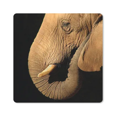 Produktbild von MuchoWow® Mauspad Mousepad Elefant - Tiere - Nahaufnahme - Schwarz 30x30 cm - Mousepads - Maus Mat - Pad - Mausunterlage - Gaming