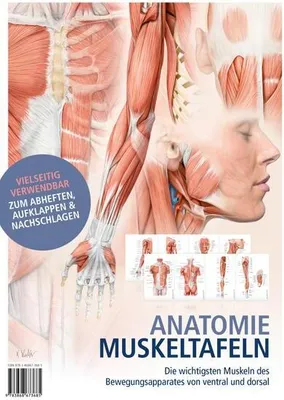 Obrázek produktu pro Anatomie-Muskeltafeln