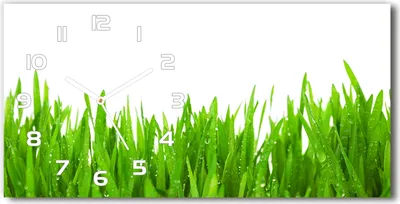 Produktbild von Wanduhr aus Glas – 60x30 cm - Glasbild - Glasuhr - Gehärtetes Glas - weisse-zeiger - Gras