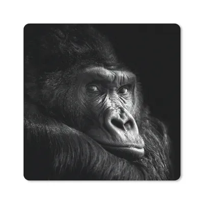 Produktbild von MuchoWow® Mauspad Mousepad Gorilla - Affe - Schwarz - Weiß - Porträt 20x20 cm - Mousepads - Maus Mat - Pad - Mausunterlage - Desk Mat - Bureauartikeln