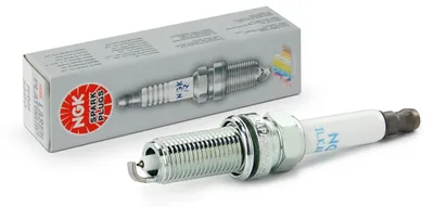 Immagine prodotto di Candela NGK 90391