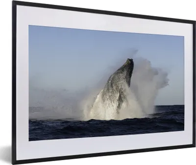 Produktbild von MuchoWow® MuchoWow® Gerahmtes Poster Wal - Wasser - Südafrika 60x40 cm - Poster mit zchwarzem Bilderrahmen - Schlafzimmer - Plakat in Rahmen - Drucken