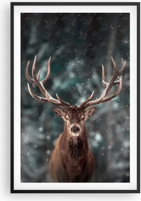 Produktbild von Gerahmtes Poster - Schwarzer Rahmen - Hirsch Hirsch Winter - 61x91,5 cm - Wand Bild - Wanddeko - Wandbilder - Kunstposter - Wandposter - Bilderrahmen - Bilder - Kunstdruck - P2BPA61x91-4998