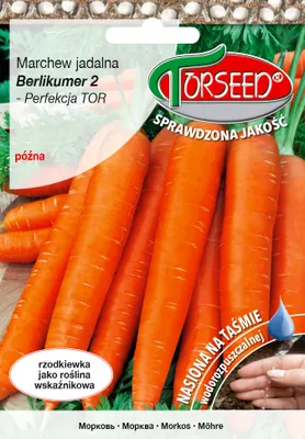 Produktbild von Karottensamen Berlikumer 2 - Torseed