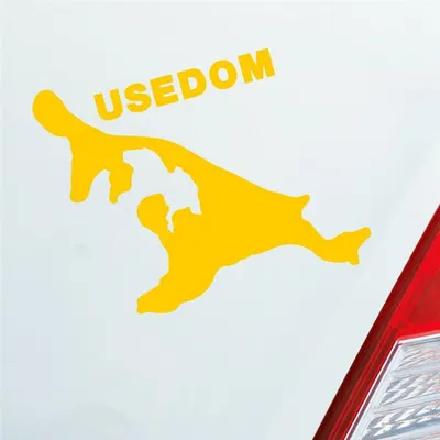 Produktbild von Auto Aufkleber USEDOM Spaß Insel Deutschland Urlaub 10x9 cm Gelb Sticker Heckscheibenaufkleber