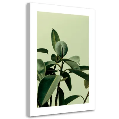 Image de Toile « Plantes vertes dans la nature » 80 x 120 Feeby Image verte pour le mur, prête à être accrochée