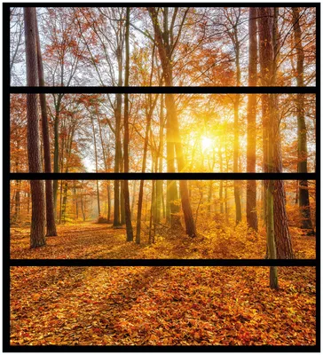 Produktbild von Wallario Möbelfolie / Aufkleber, geeignet für Ikea Malm Kommode mit 4 Schubfächern - Sonnenuntergang im herbstlichen Wald