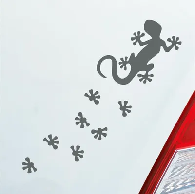 Produktbild von Auto Aufkleber Salamander Agame Echse Lizard Fußspuren 20x6 cm Grau Sticker Heckscheibenaufkleber