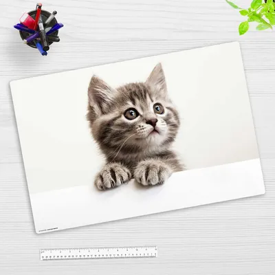 Produktbild von Schreibtischunterlage für Kinder und Erwachsene - Baby Kätzchen  - 60 x 40 cm - aus Premium Vinyl -  Germany
