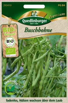 Produktbild von Buschbohne dunkelgrün | Buschbohnensamen von Quedlinburger