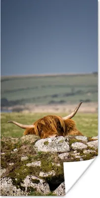 Produktbild von MuchoWow® Poster Schottische Highlander - Steine - Gras 20x40 cm - Plakat - Foto