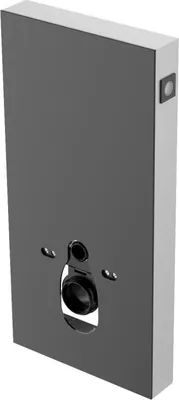 Produktbild von Primaster Vorwandelement Wand-WC inkl. Spülkasten 100 x 48,5 cm schwarz