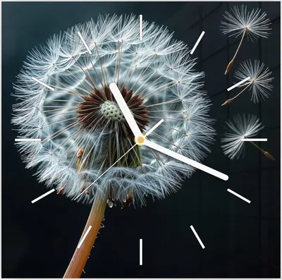 Produktbild von Wanduhr aus Glas mit Motiv Pusteblume im Wind- 30 x 30 cm - inkl. Aufhängesystem
