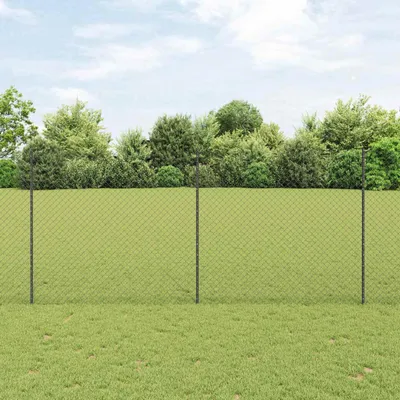 Immagine prodotto di Maison Exclusive - Recinzione con Posto Grigio 1,4 x 10 m Acciaio e PVC