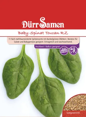 Produktbild von Dürr-Samen - Babyspinat Toucan RZ - Saatgut - 4252