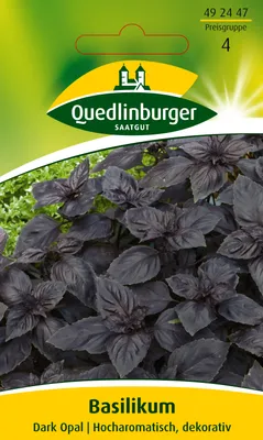 Produktbild von Basilikum Dark Opal | Basilikumsamen von Quedlinburger