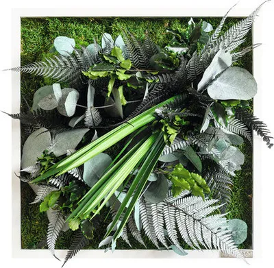 Produktbild von Pflanzenbild Dschungeldesign Rahmen weiß 35x35 cm