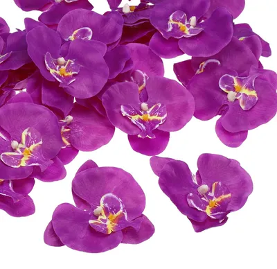Obrázek produktu pro Umělé květy orchidejí, 40 kusů, tmavě fialové