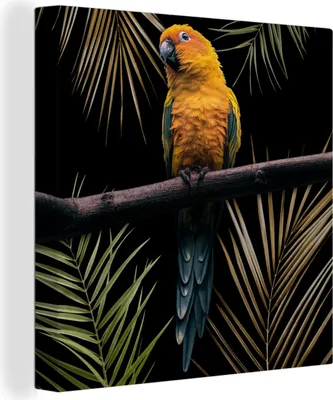 Produktbild von MuchoWow® - Leinwandbilder - Vogel - Papagei - Zweig - Blätter, Wandbild, Wanddeko Bilder Wohnzimmer, 20x20 cm