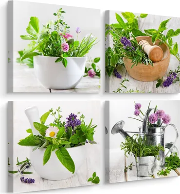 Obrázek produktu pro Obrazy do kuchyně SET Čerstvé bylinky Koření Rostliny Příroda Květiny 60x60cm